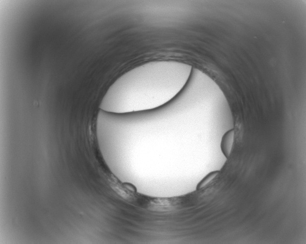 X0000068820381200605081152