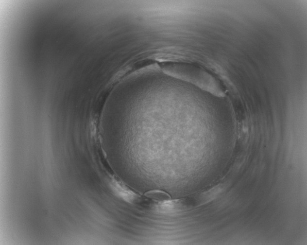 X0000068820382200605081152