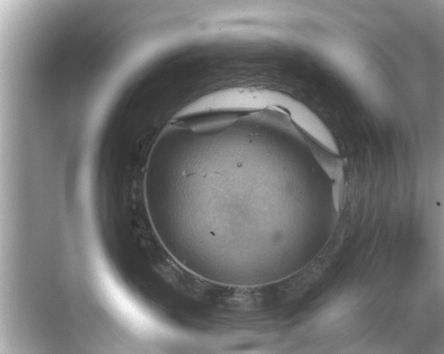 X0000068820383200605081152