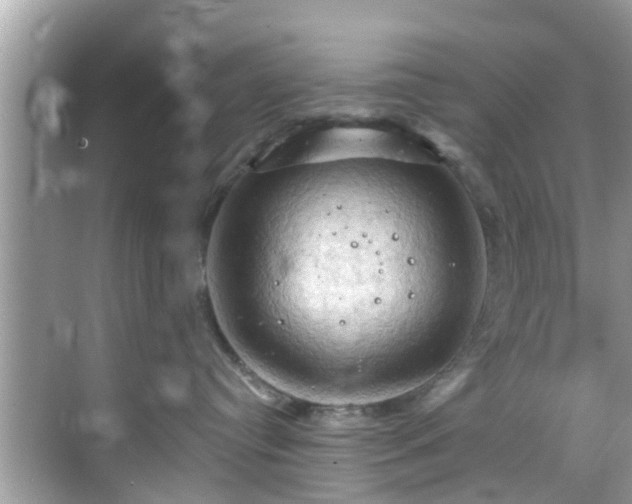 X0000068820384200605081152