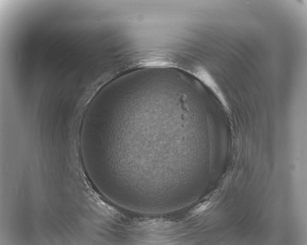 X0000068820385200605081151