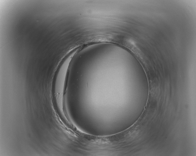 X0000068820386200605081151