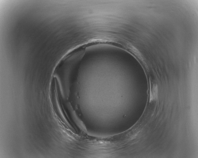 X0000068820387200605081151