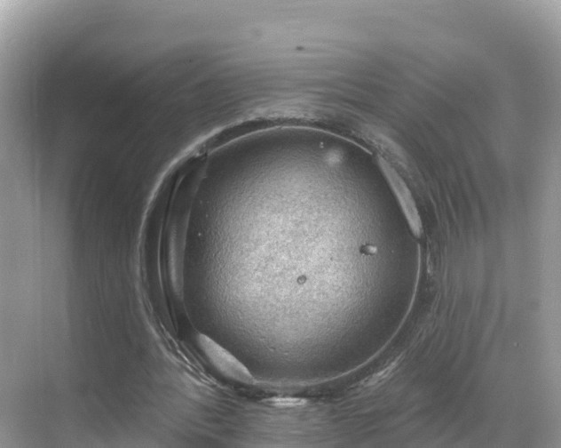 X0000068820388200605081151