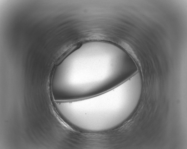 X0000068820389200605081151