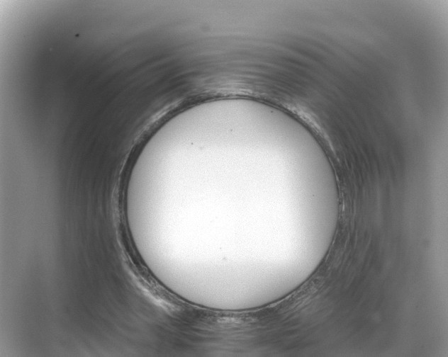 X0000068820390200605081151