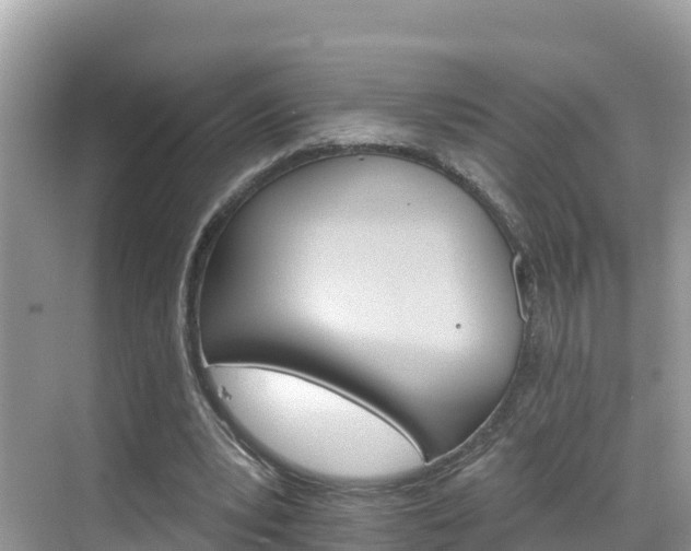 X0000068820391200605081151