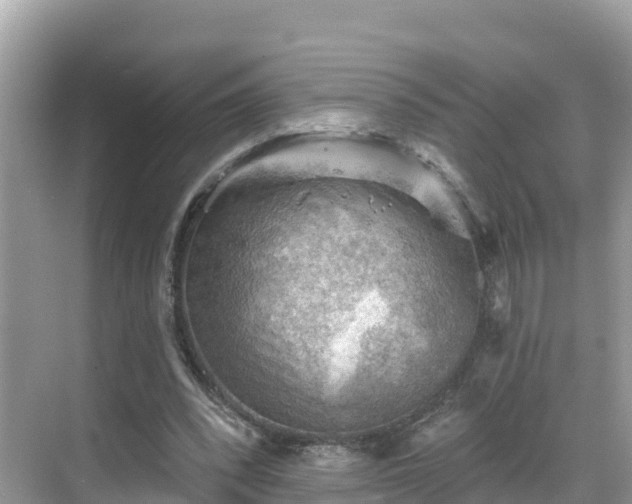 X0000068820392200605081151