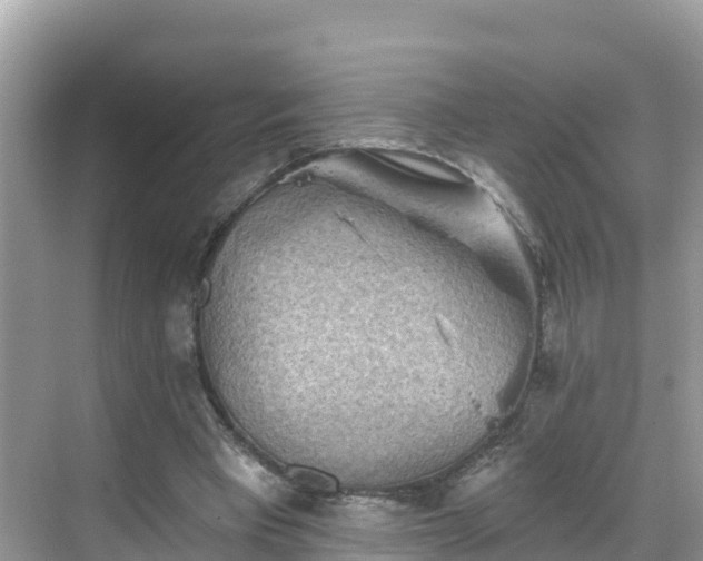 X0000068820393200605081151