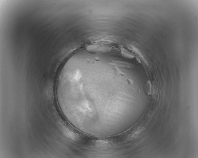 X0000068820394200605081151