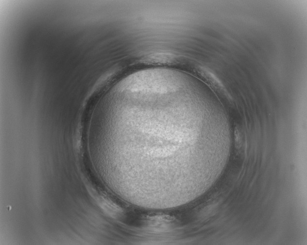 X0000068820396200605081151