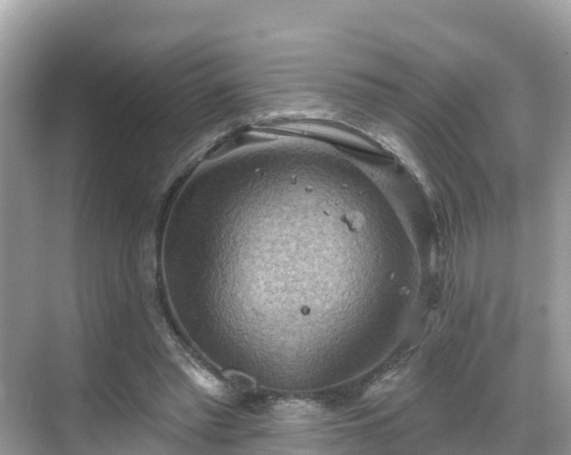 X0000068820397200605081151