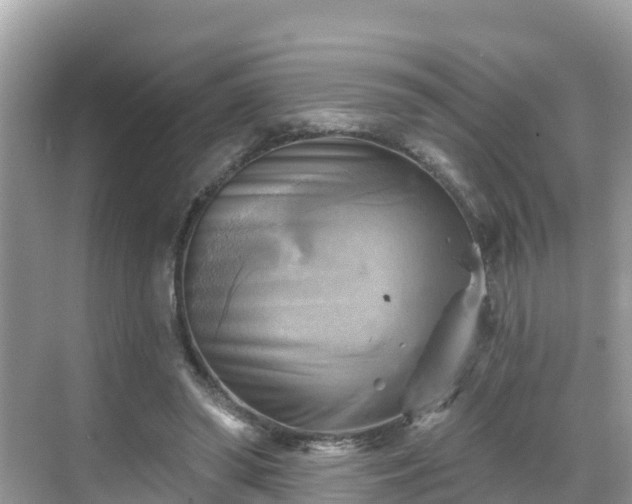 X0000068820398200605081151