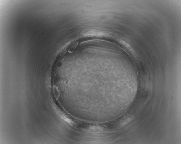 X0000068820399200605081151