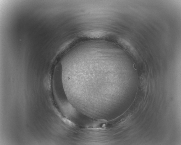 X0000068820400200605081151