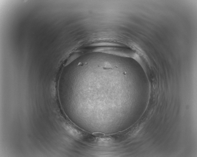 X0000068820401200605081151