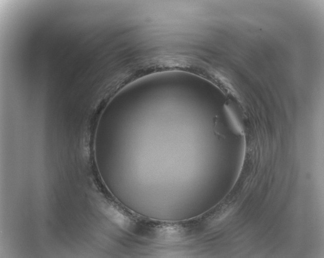 X0000068820402200605081151