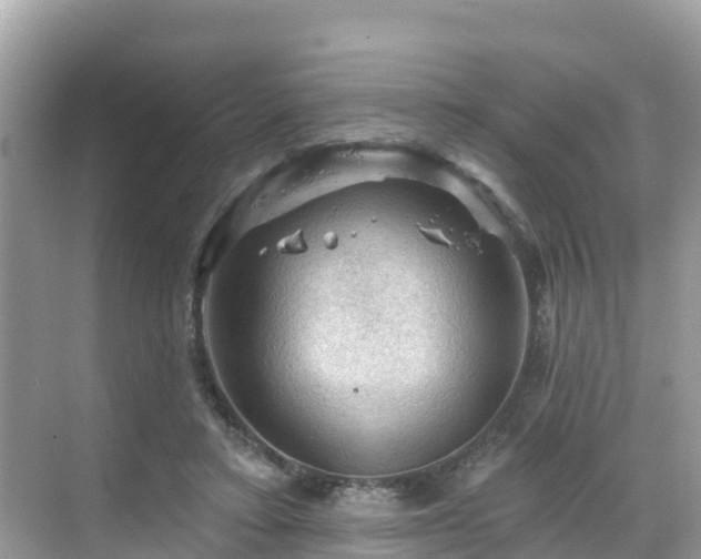 X0000068820403200605081151