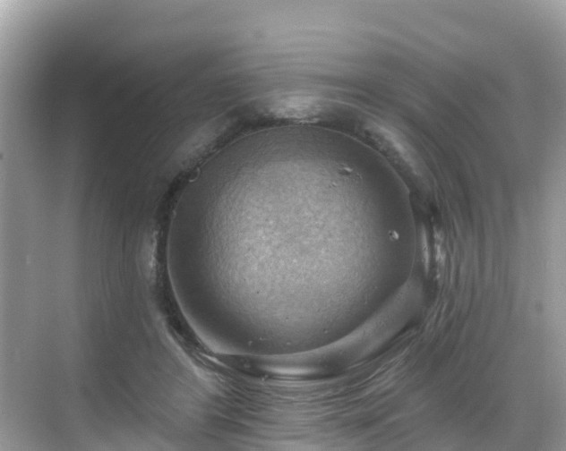 X0000068820404200605081150