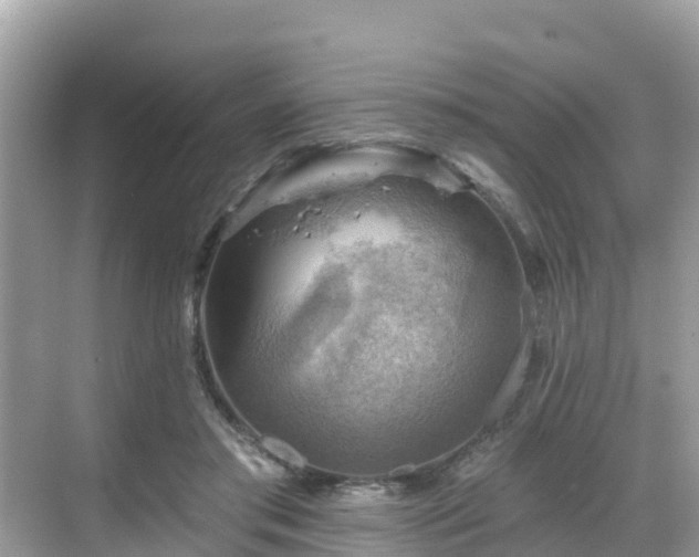 X0000068820405200605081150