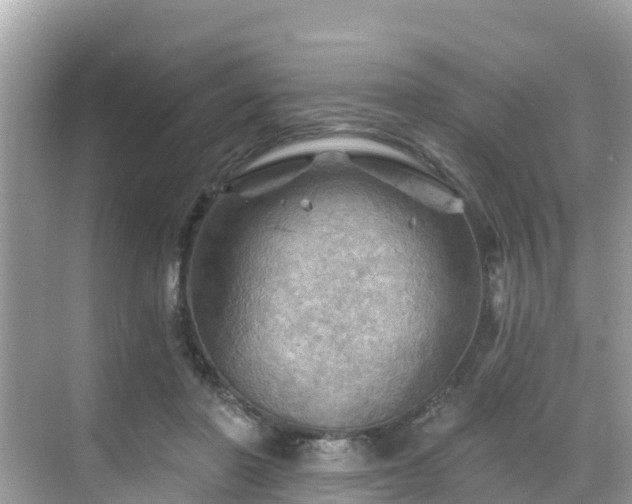 X0000068820406200605081150