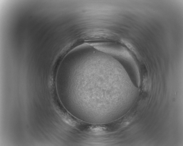 X0000068820407200605081150