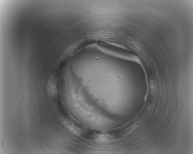 X0000068820408200605081150