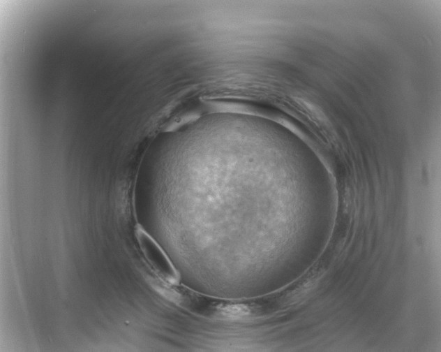 X0000068820409200605081150