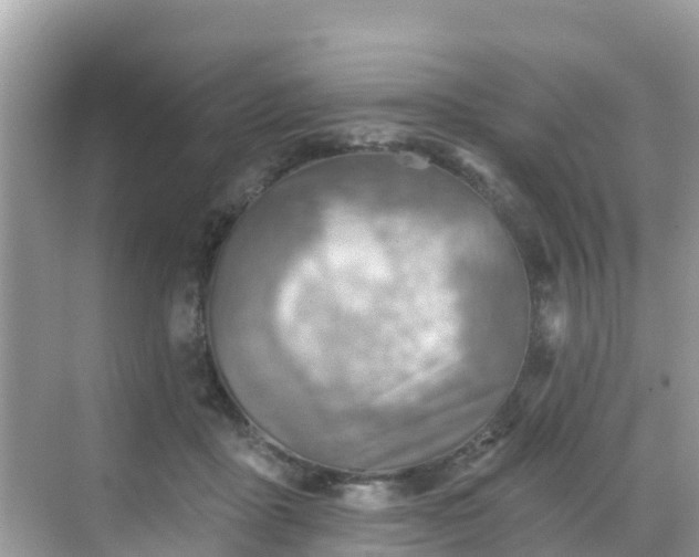 X0000068820411200605081150