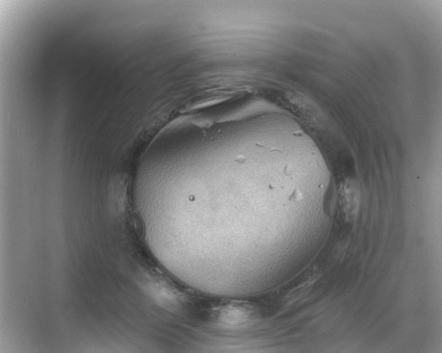 X0000068820412200605081150