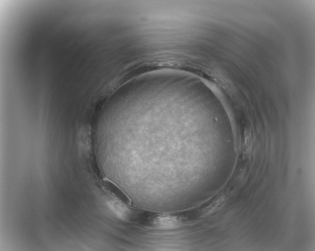 X0000068820413200605081150