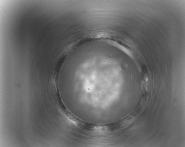 X0000068820415200605081150