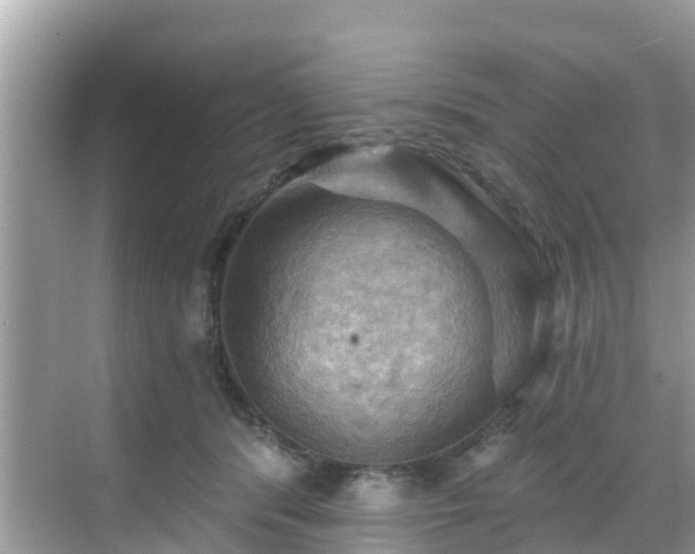 X0000068820416200605081150