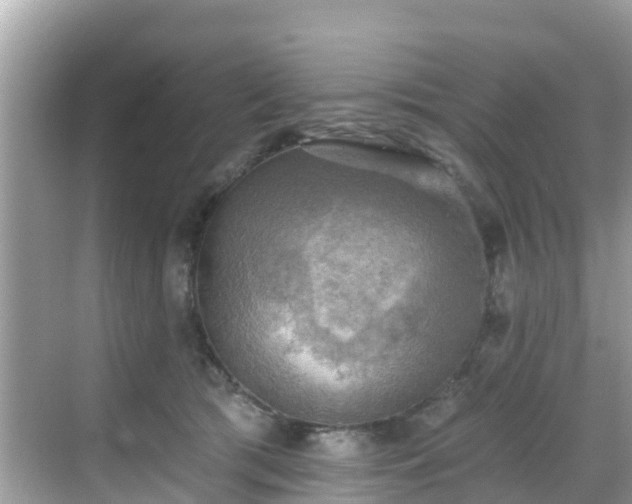 X0000068820417200605081150