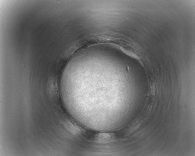 X0000068820418200605081150