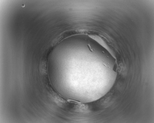 X0000068820421200605081150