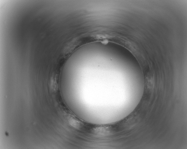 X0000068820422200605081150