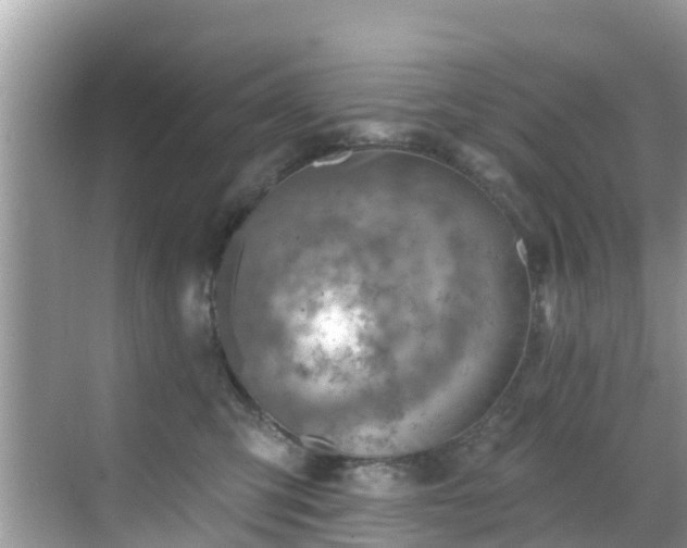 X0000068820423200605081150