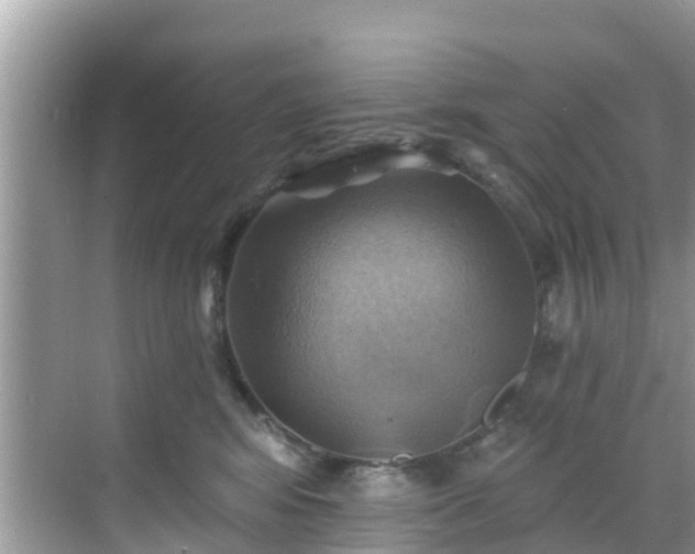 X0000068820424200605081150