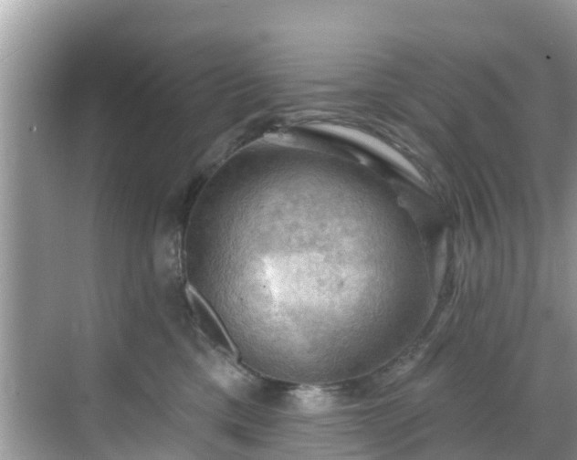 X0000068820425200605081150