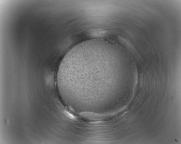 X0000068820428200605081150