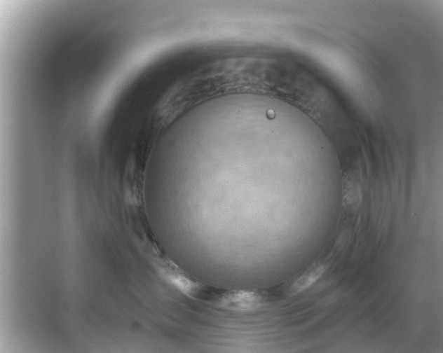 X0000068820431200605081150