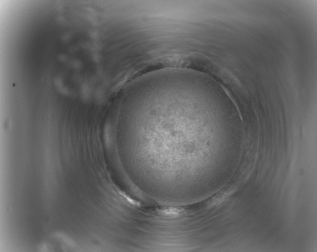 X0000068820432200605081150