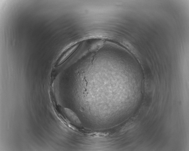 X0000068820434200605081149