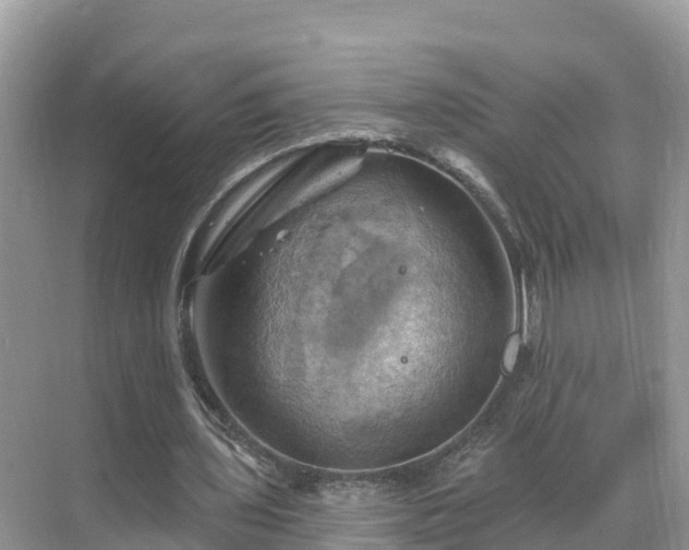 X0000068820435200605081149