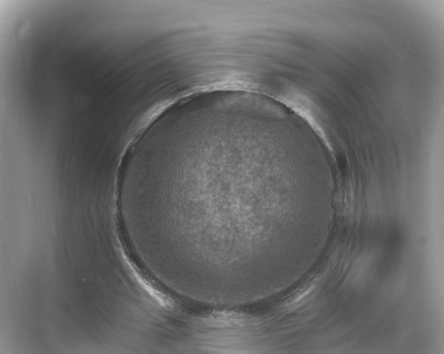 X0000068820437200605081149