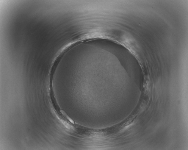 X0000068820438200605081149