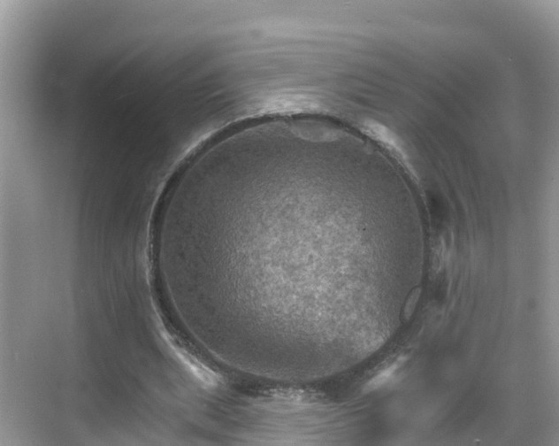 X0000068820439200605081149