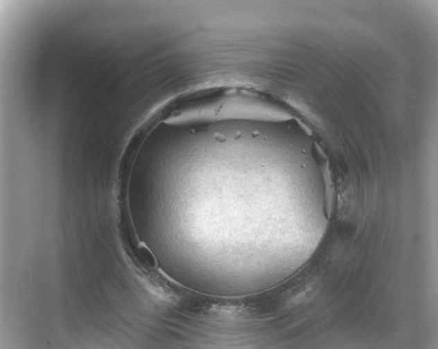 X0000068820440200605081149