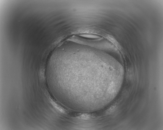 X0000068820441200605081149